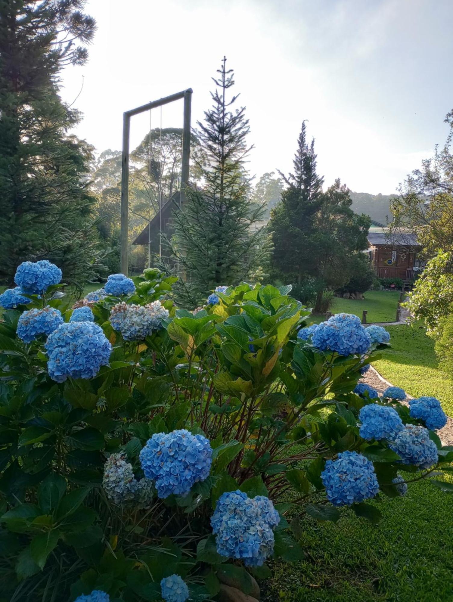 Casa De Toras Hotel Кампо Алегре Екстериор снимка